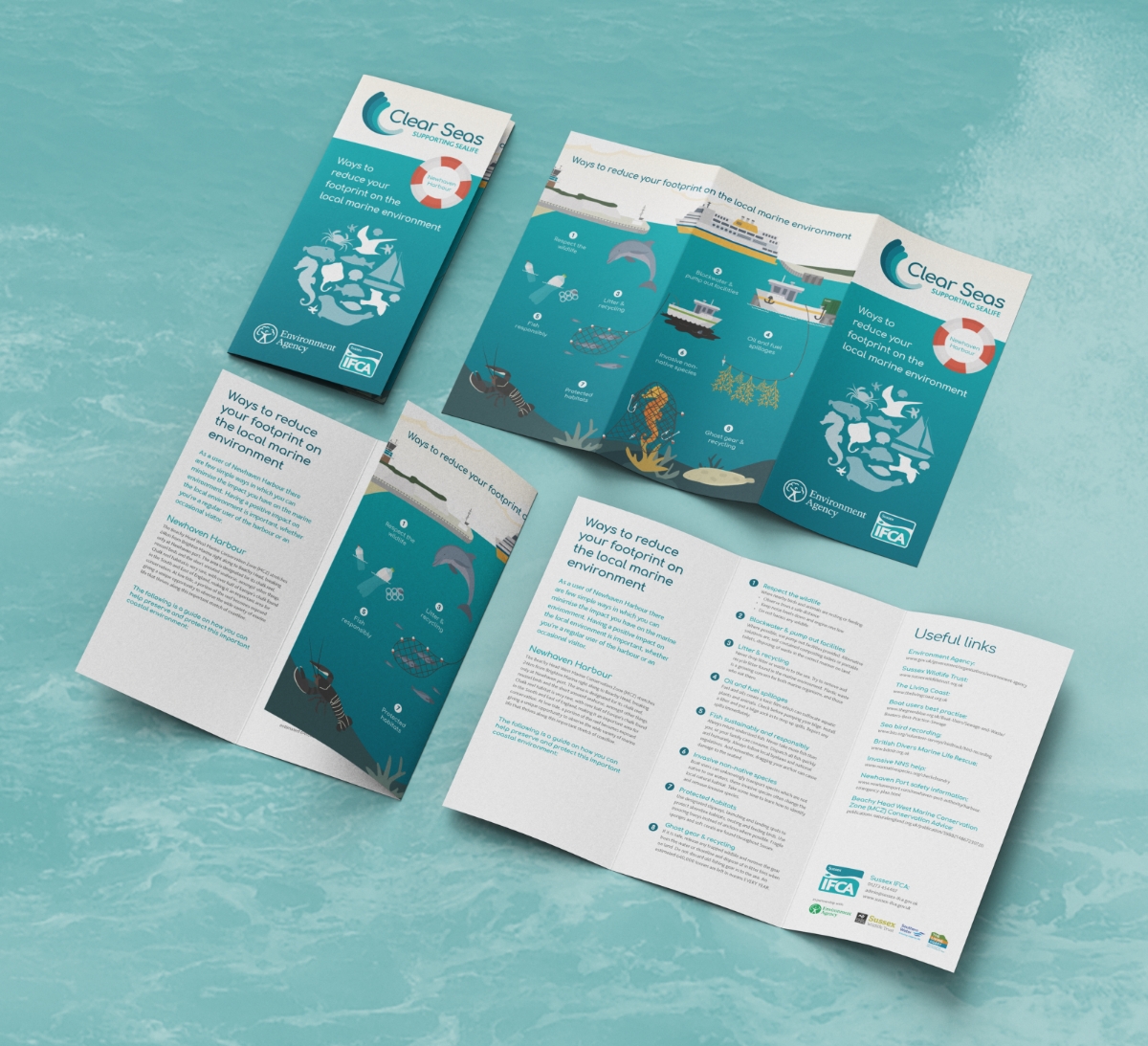 SussexIFCA_ClearSeas05.jpg Clear Seas leaflet showing DL, 6 page layout