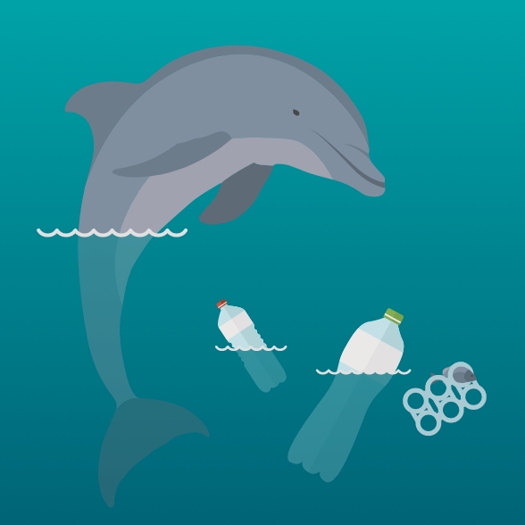 SussexIFCA_ClearSeas07.jpg Clear Seas illustration showing dolphin and plastic pollution