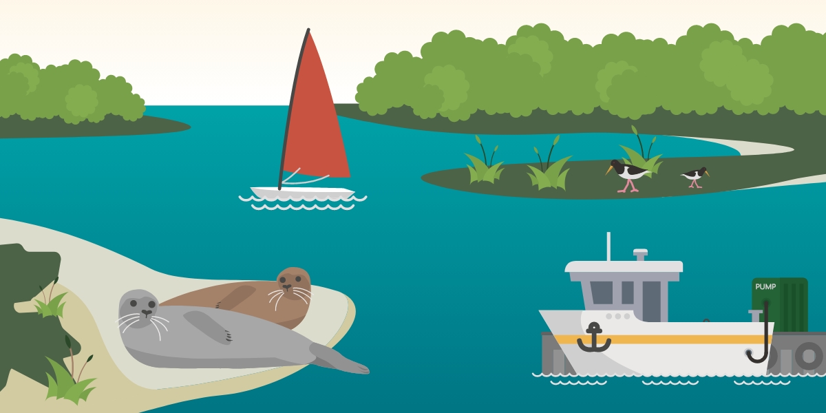 SussexIFCA_ClearSeas09.jpg Clear Seas illustration showing Chichester Harbour, boats and common seals