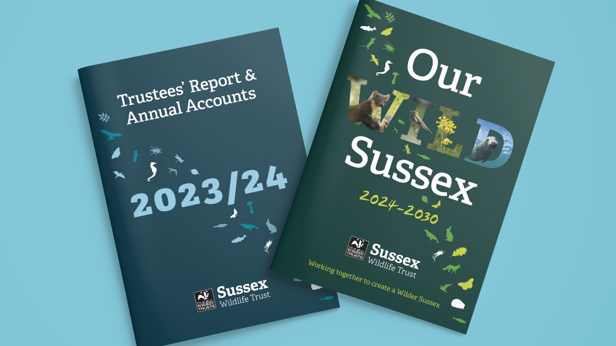 SWT Annual Report 2023/24 Cover & Our Wild Sussex 2024-2030 Strategy Report