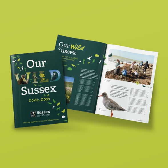Our Wild Sussex cover and inside spread