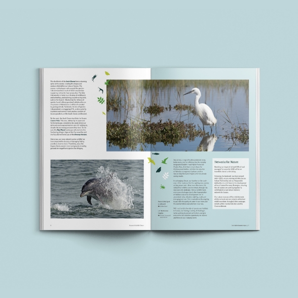 Our Wild Sussex inside spread