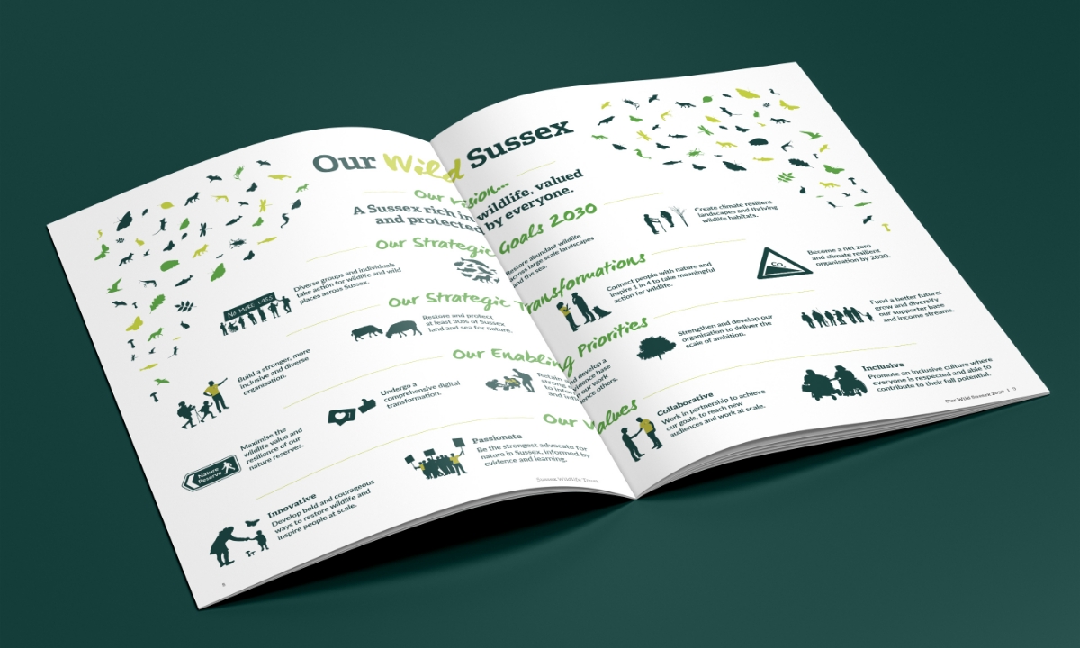 Our Wild Sussex Vision and Strategy Infographic