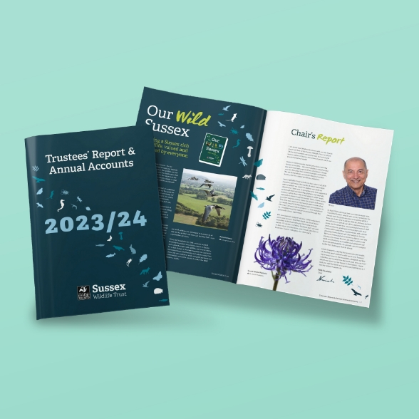 SWT Annual Report 2023/24 Cover and inside spread