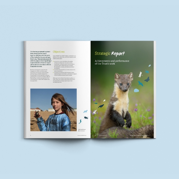 SWT Annual Report inside spread