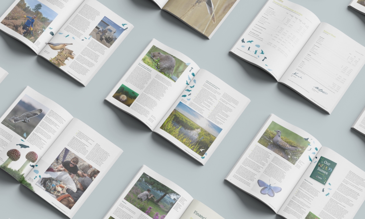 SWT Annual Report inside spreads