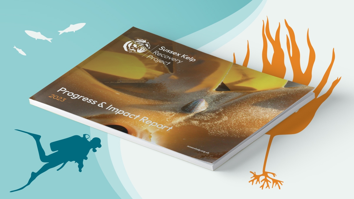 SKRP01.jpg SKRP Progress & Impact Report 2023 Cover