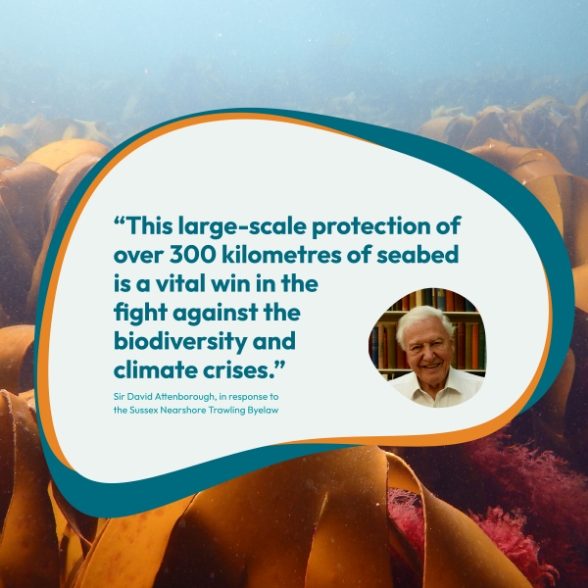 SKRP02.jpg Quote from Sir David Attenborough, in response to the Sussex Nearshore Trawling Byelaw “This large-scale protection of over 300 kilometres of seabed is a vital win in the fight against the biodiversity and climate crises.”