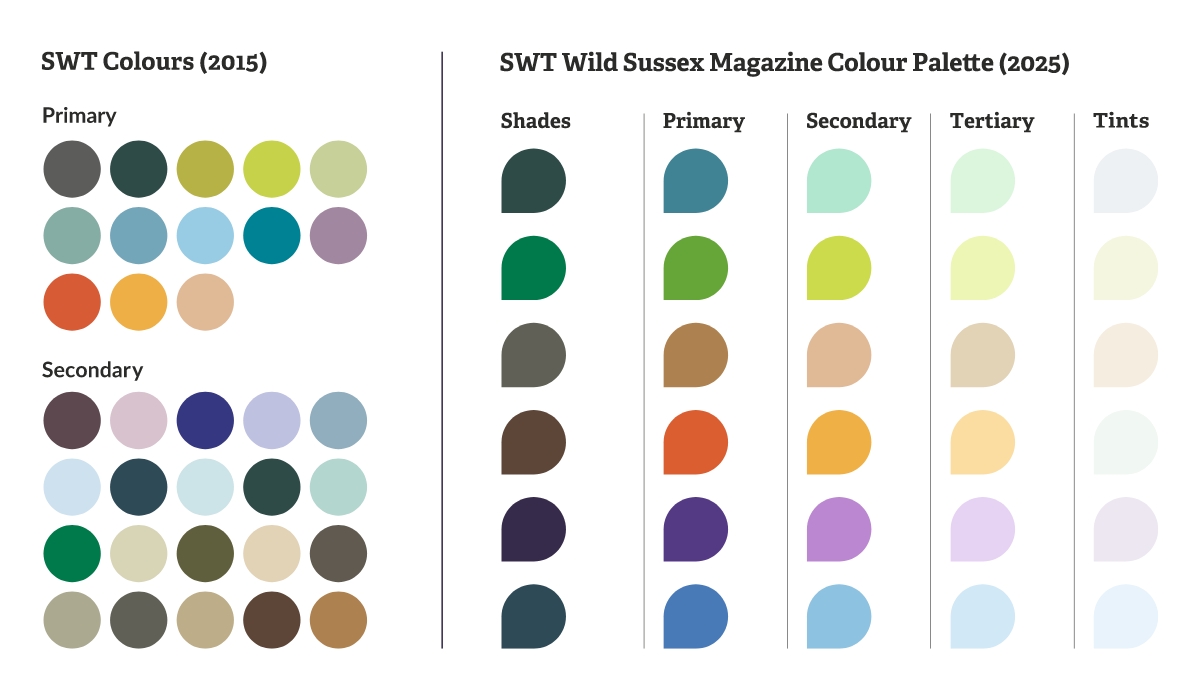 SWT_WildSussex06.jpg Original colour palette from 2015 alongside the new colour palette designed to meet WCAG AA standards.