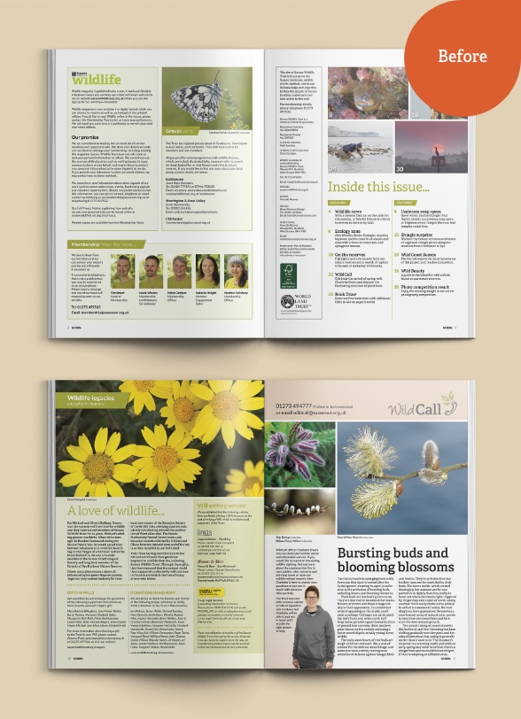 SWT_WildSussex08.jpg Mock up of internal spreads before the redesign