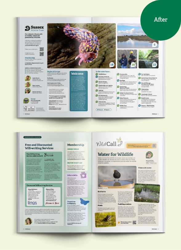 SWT_WildSussex09.jpg Mock up of internal spreads after the redesign