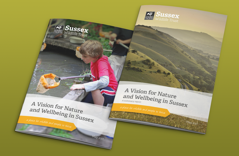 Nature & Wellbeing Reports